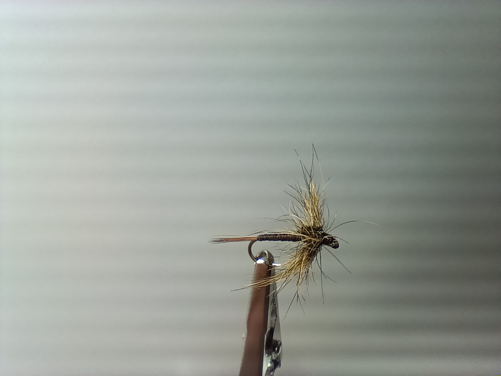 Spent Lièvre sombre - taille 10