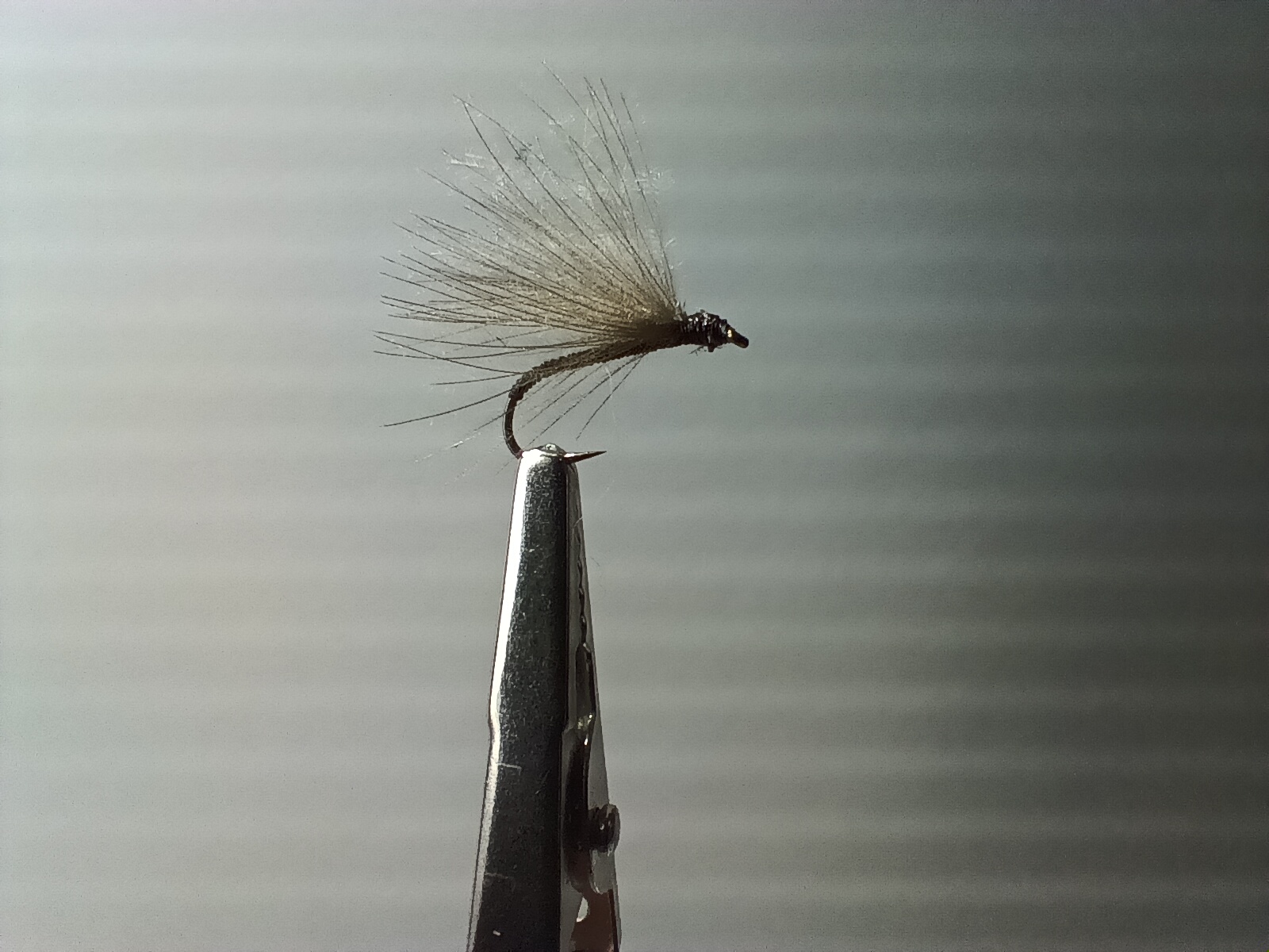 Voilier Brun - taille 14
