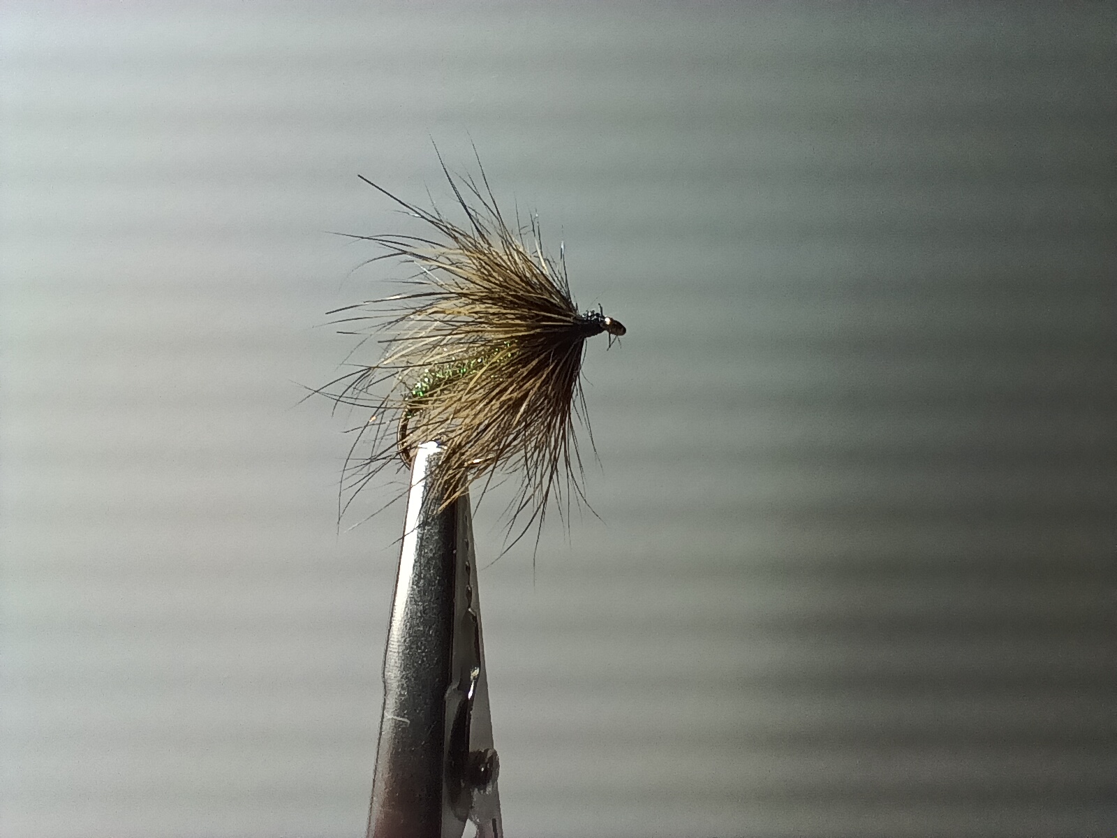 Emergente lièvre Olive flash - taille 12