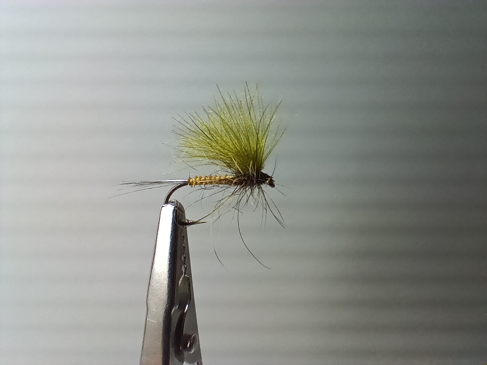 Éphémère Voilier Olive - taille 12