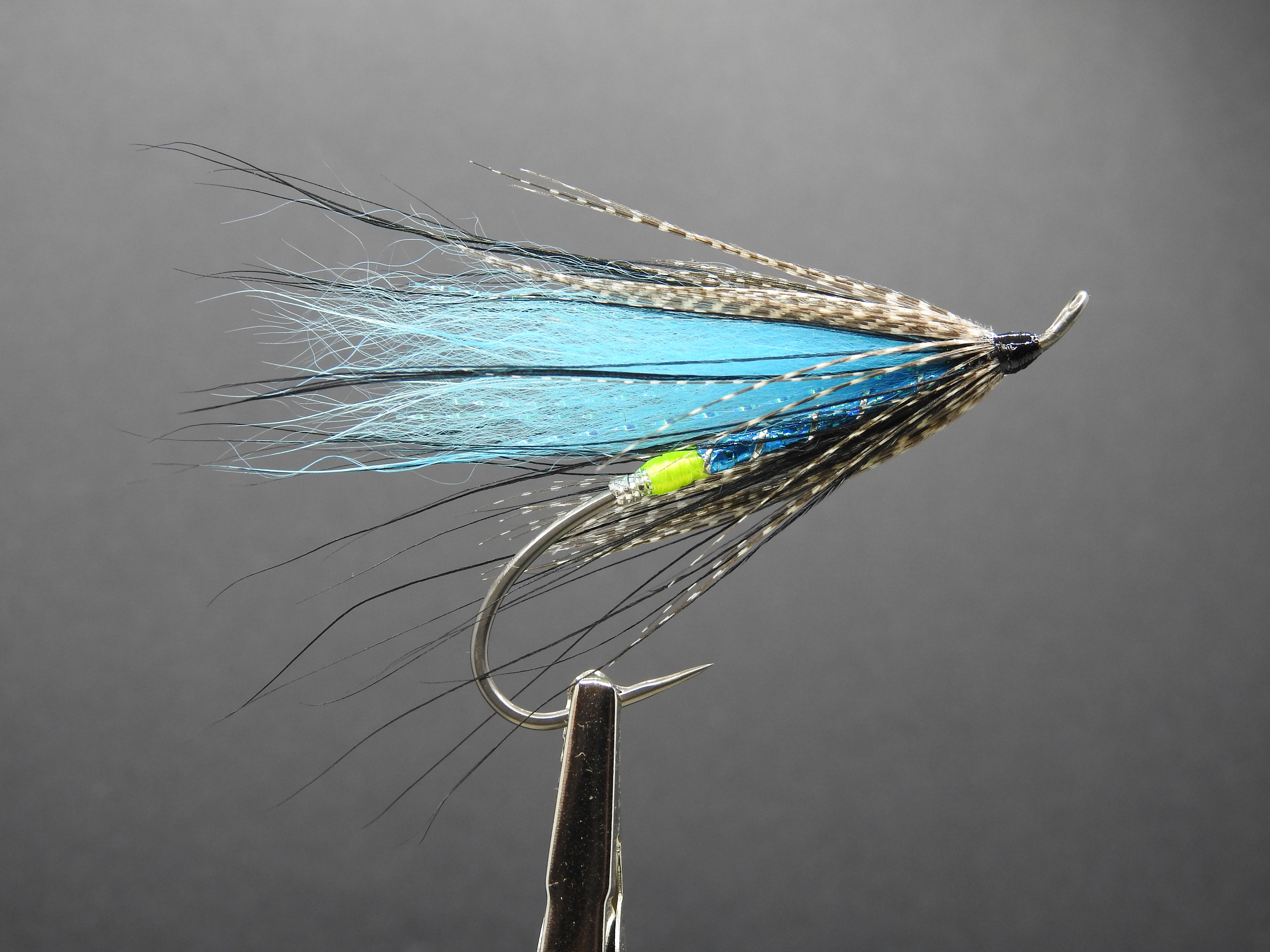 Salmo Boréale