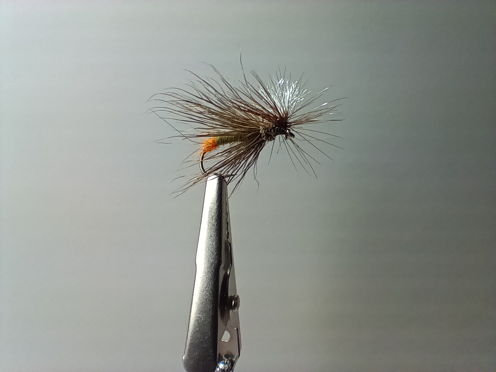 Sedge parachute - taille 12