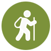 actividades.gif