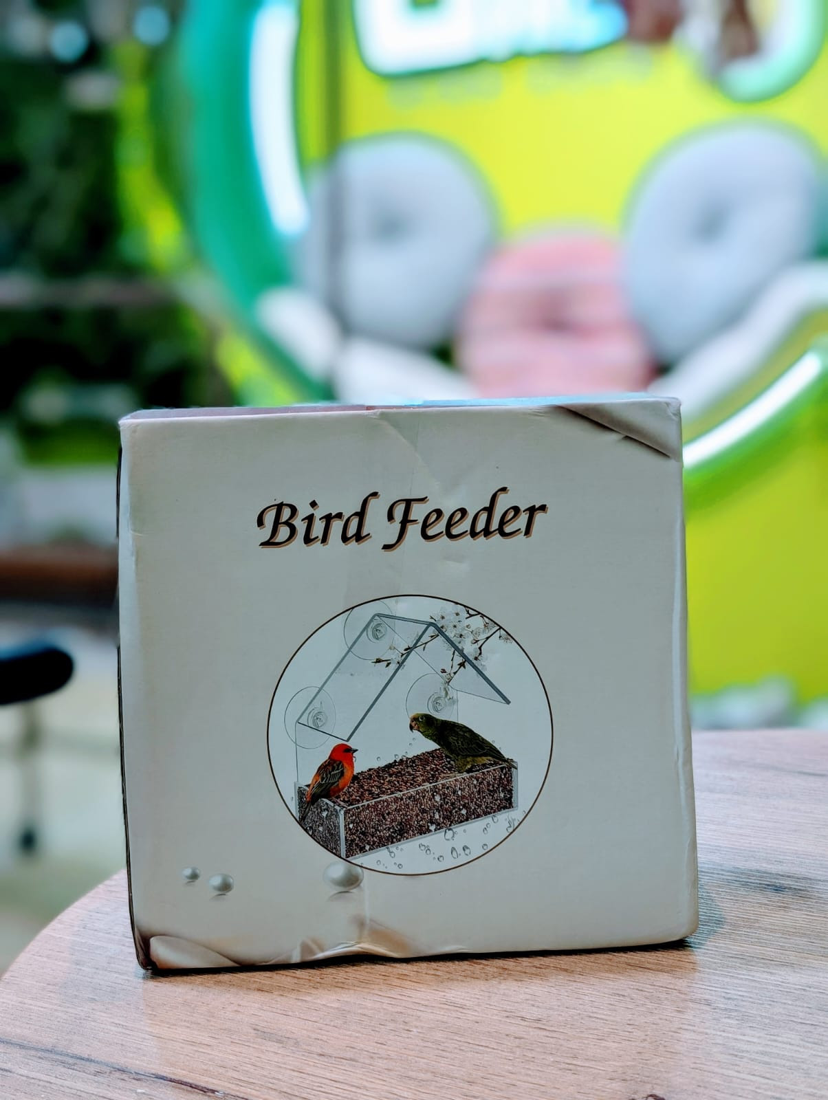 Bird Feeder (Glass wall)