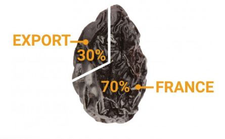 Prunes export and import