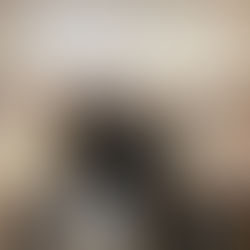 Parcerias renovadas em 2024