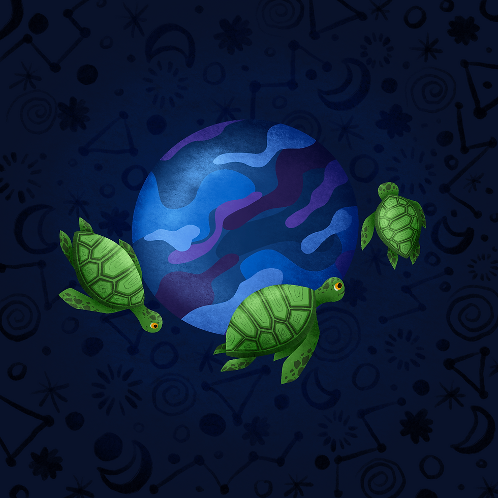 Space turtles