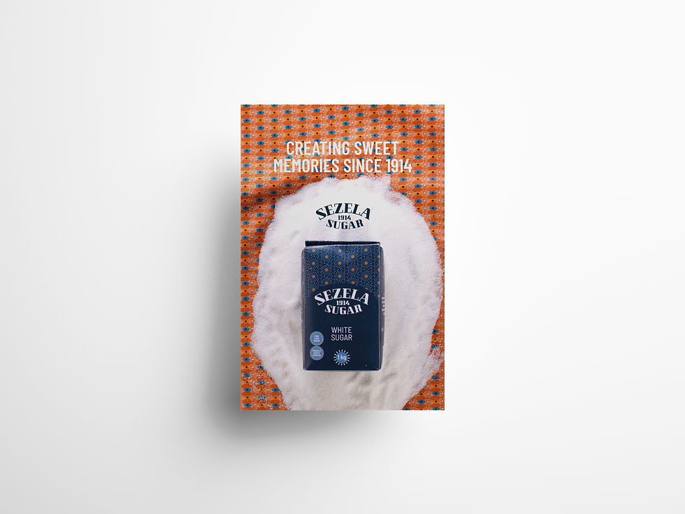 Nadia Van Staden_180013_Com200_T4_Poster_Mockup