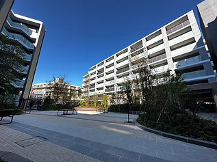 S__35831835.jpg