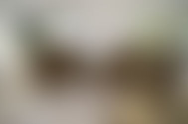 ...es geht weiter....