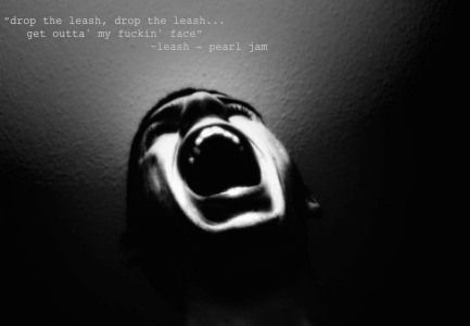 leash