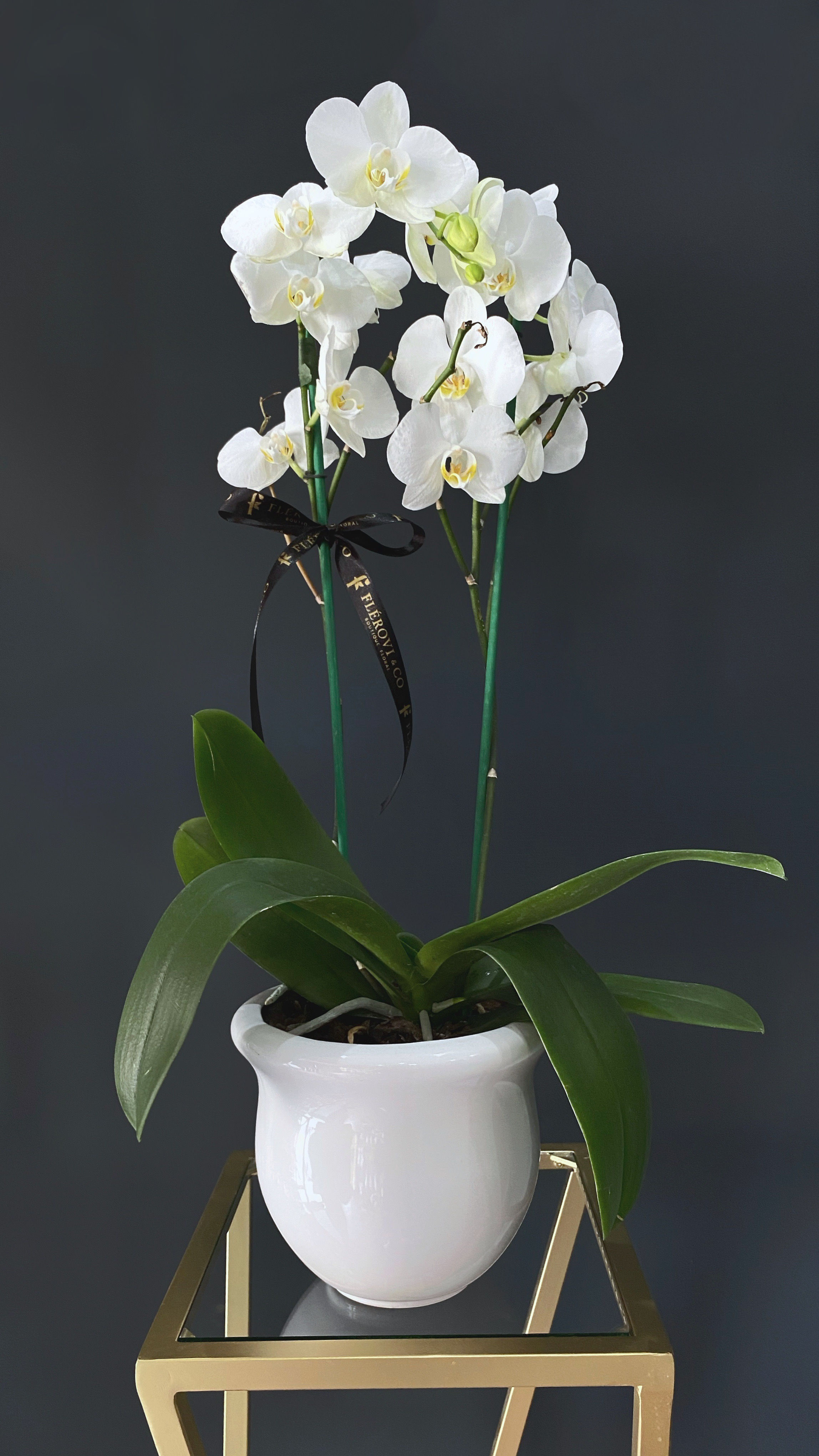 Orquídea 2 varas