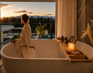 Freestanding Bathtub with View