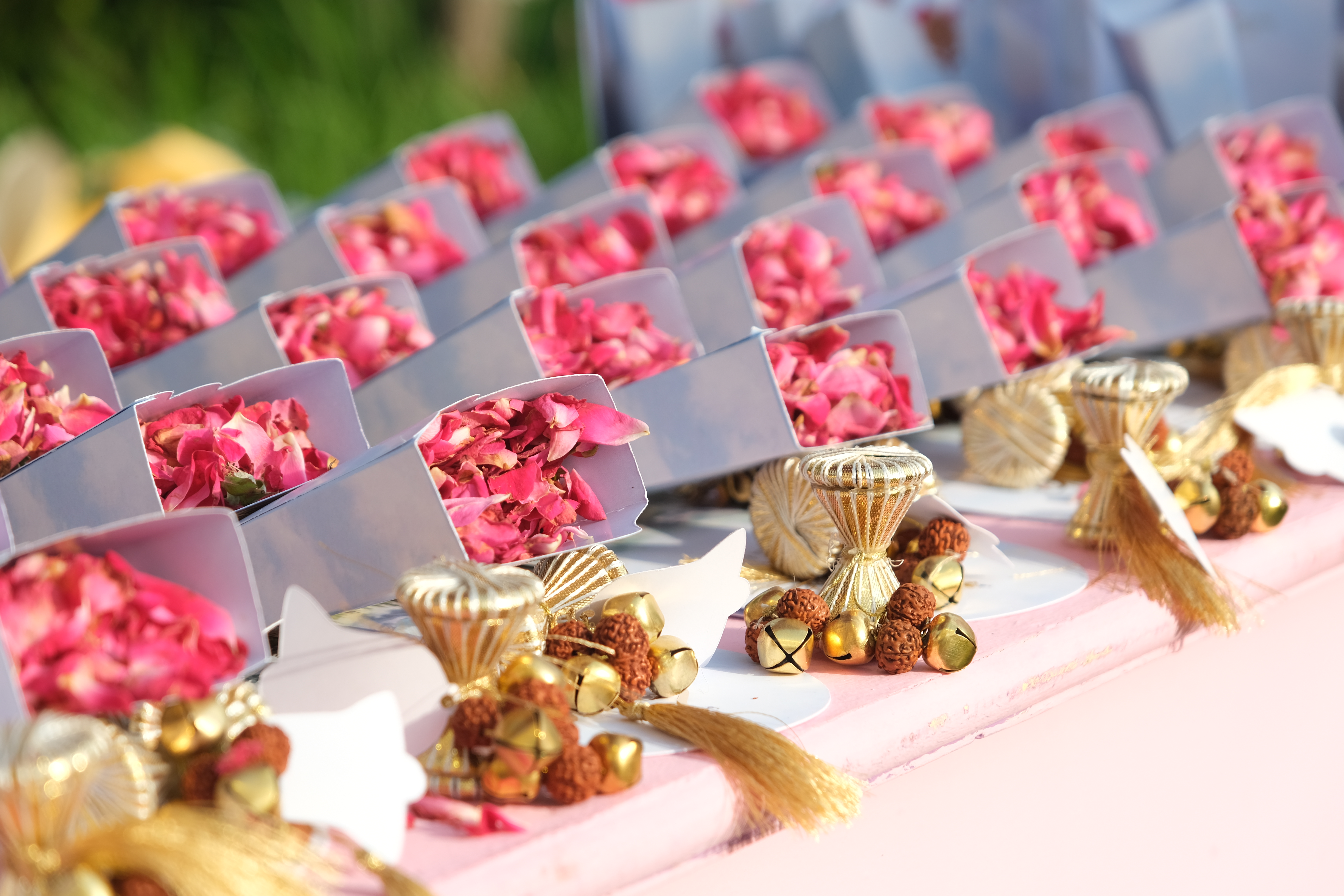 Alankrita & Manan wedding — photograph 4