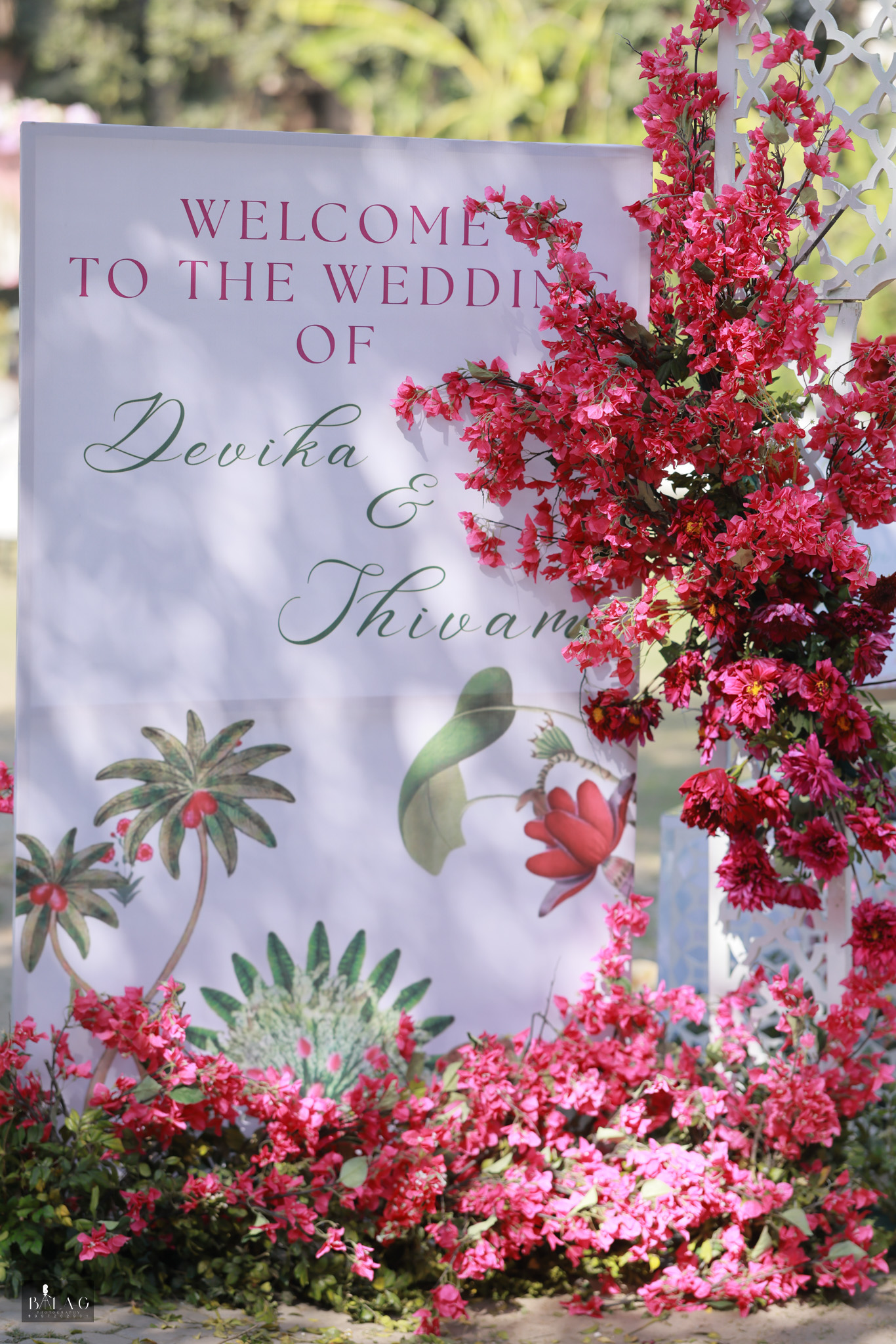 Devika & Shivam wedding — photograph 2