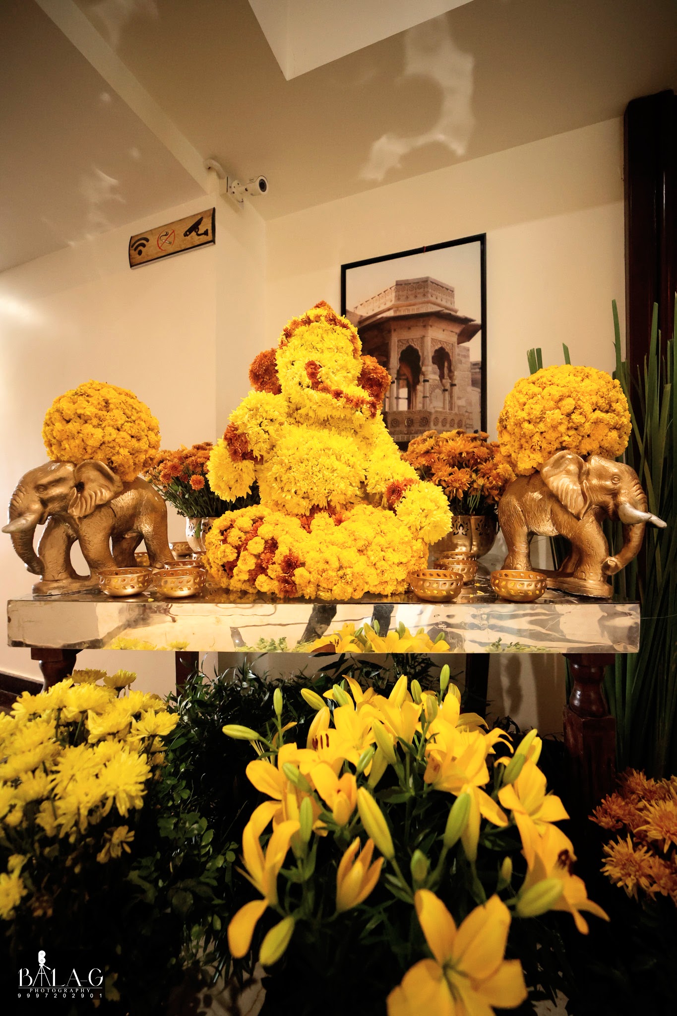 Pallavi & Abhinav wedding — photograph 3