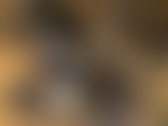 オーバーホール " Slingerland 20"Bassdrum "