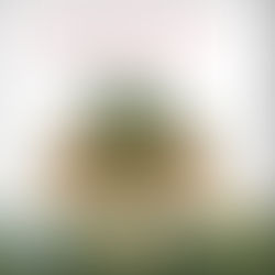 Una Mirada Profunda a la Guerra y la Dualidad Humana 