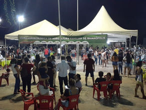A FEIRA AGROECOLÓGICA DA AGRICULTURA FAMILIAR DE BAIANÓPOLIS FOI RETOMADA NO FORMATO PRESENCIAL 