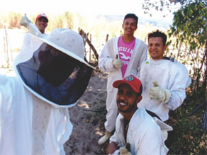 AMPLIAÇÃO DA CADEIA PRODUTIVA DA APICULTURA E FORMAÇÃO DE GRUPOS PRODUTIVOS NO VELHO CHICO