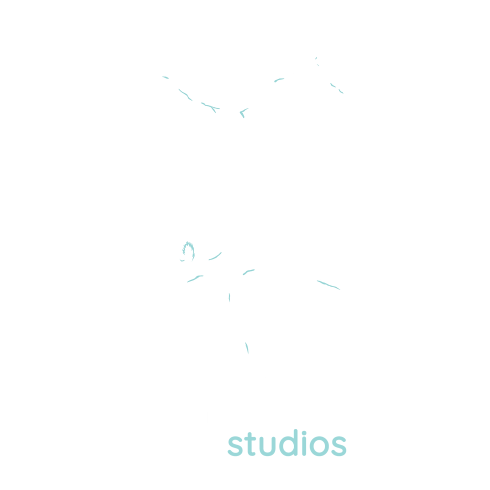 New DSS logo_white_square.png