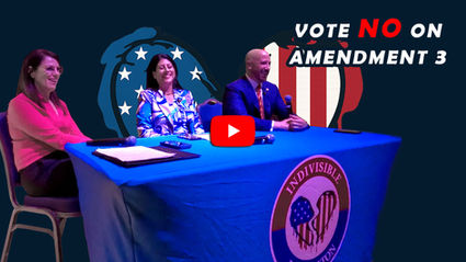 Vote No On Amendment 3 - Palm Beach County Officials Speak Out