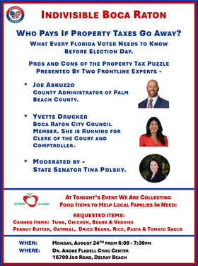8/24/26 - Who Pays If Property Taxes Go Away? With Joe Abruzzo and Yvette Drucker - Moderated By State Senator Tina Polsky