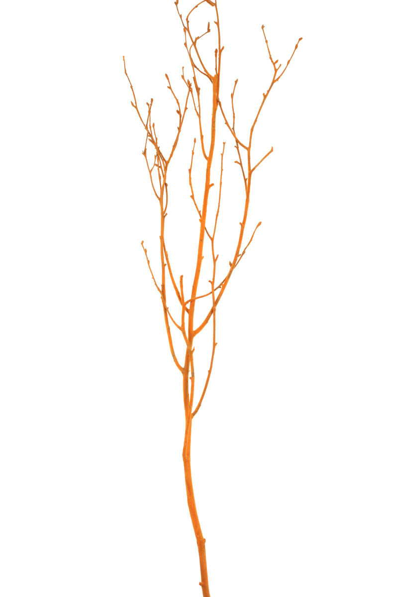 Thumbnail: Flocked Branches