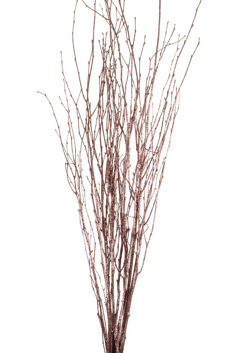 Thumbnail: Birch Branches 3-4ft