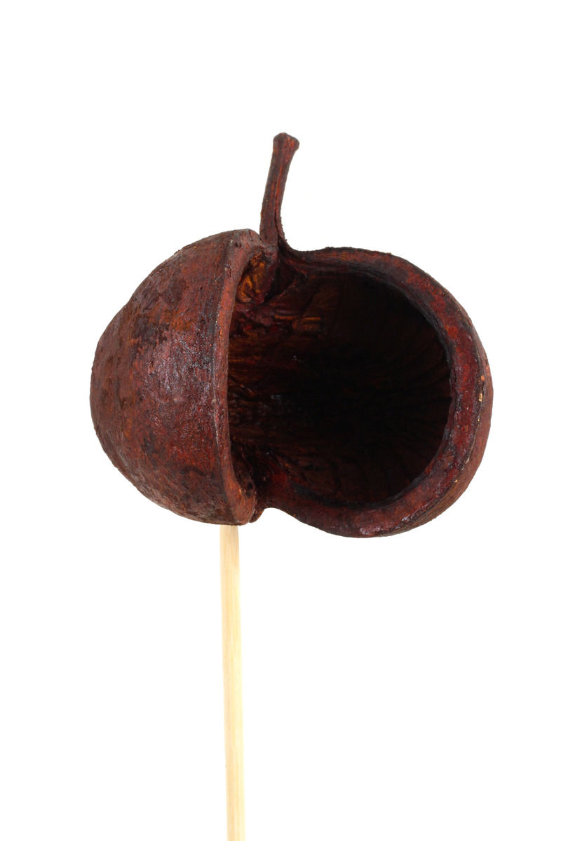 Thumbnail: Buddha Nut