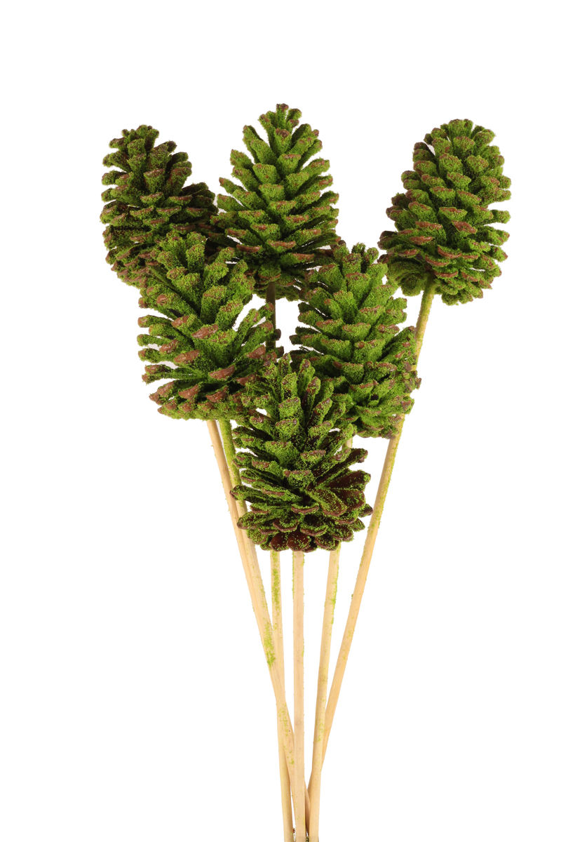 Thumbnail: Pinecones - Large