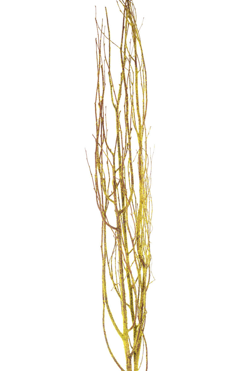 Thumbnail: Flocked Branches
