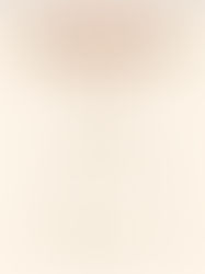 România lirică pe marile scene mondiale 