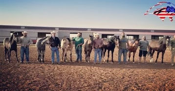 Ruck Veteran Horse Ranch Abilene 4.jpeg