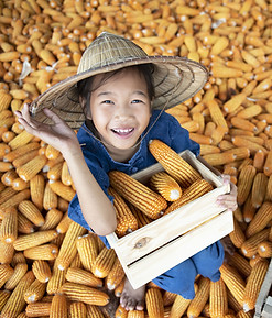 AdobeStock_263246175_edited.jpg