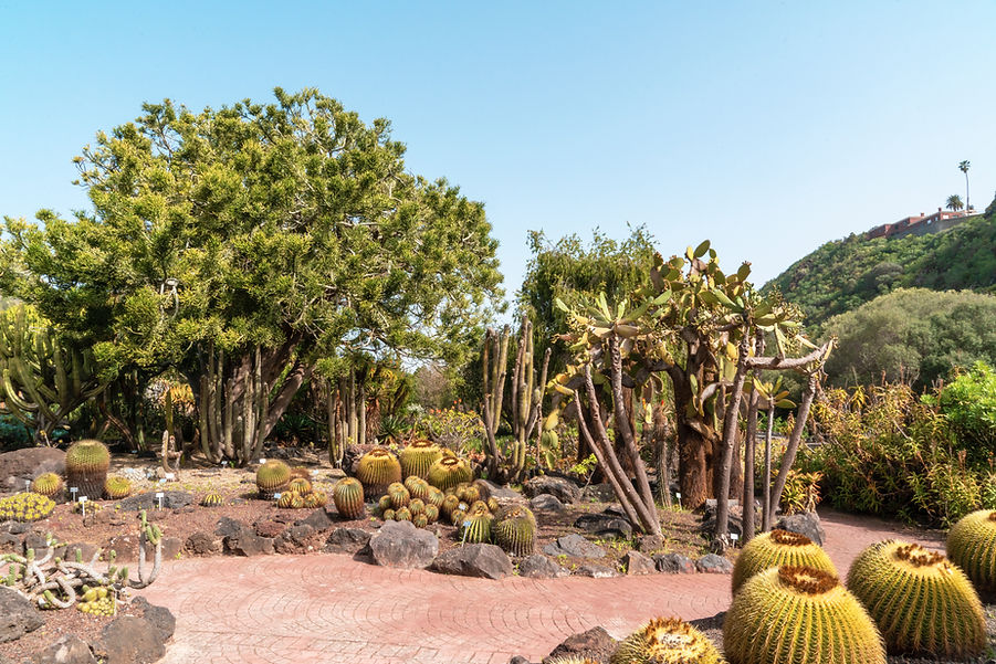 pexels-marian-florinel-condruz-4050879.j