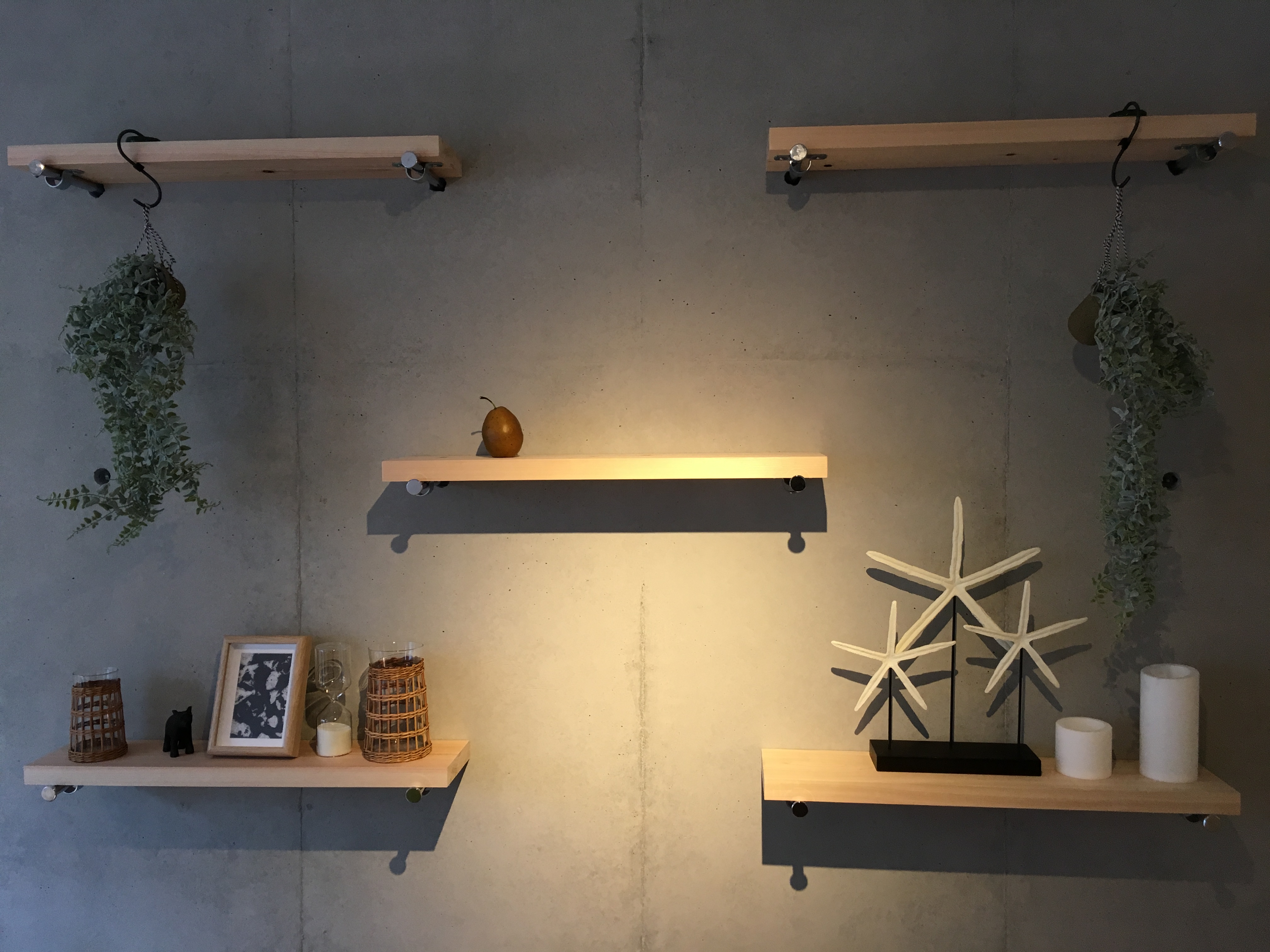 執筆者の写真: shiraiwa