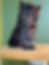 Thumbnail: Female