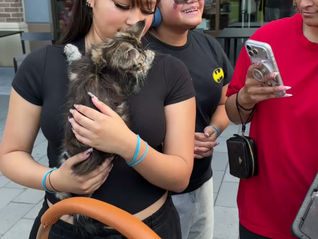 A Wonderful Day at Our Cat Meetup