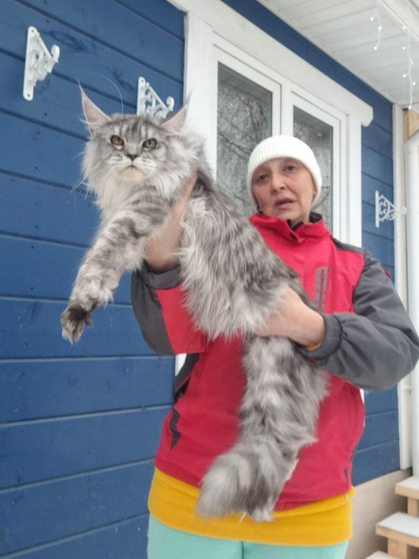 Alaska