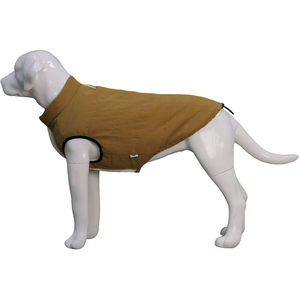 Thumbnail: Waterproof Dog Vest