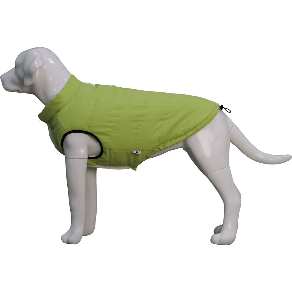 Thumbnail: Waterproof Dog Vest