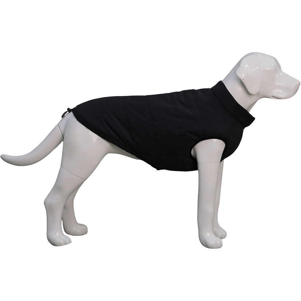 Thumbnail: Waterproof Dog Vest