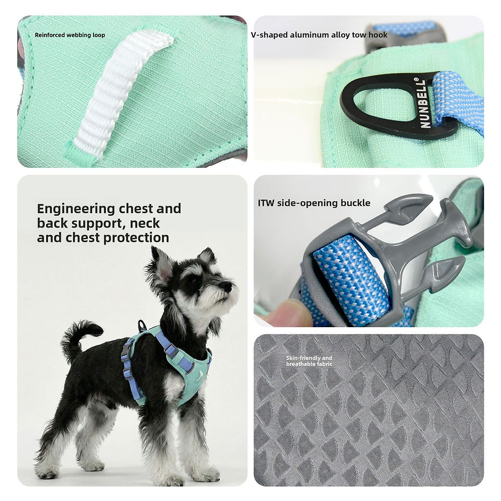 Thumbnail: Adjustable Reflective Dog Harness