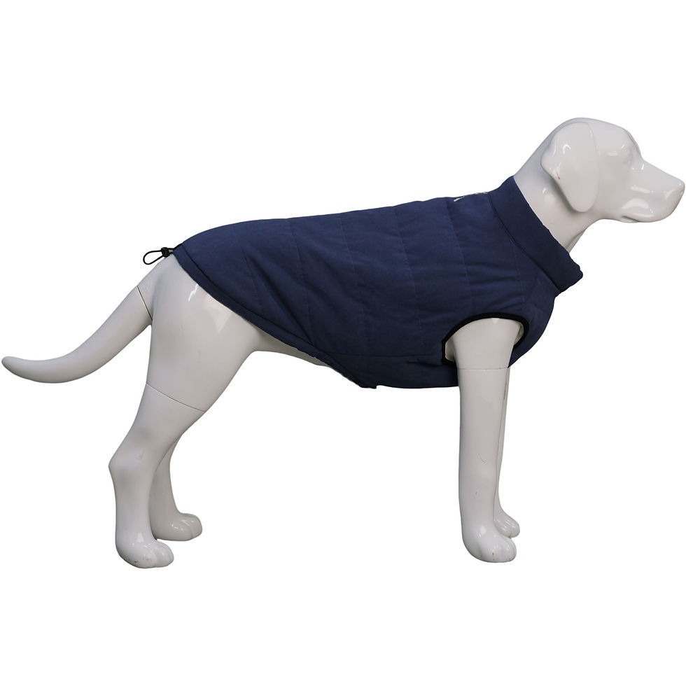 Thumbnail: Waterproof Dog Vest