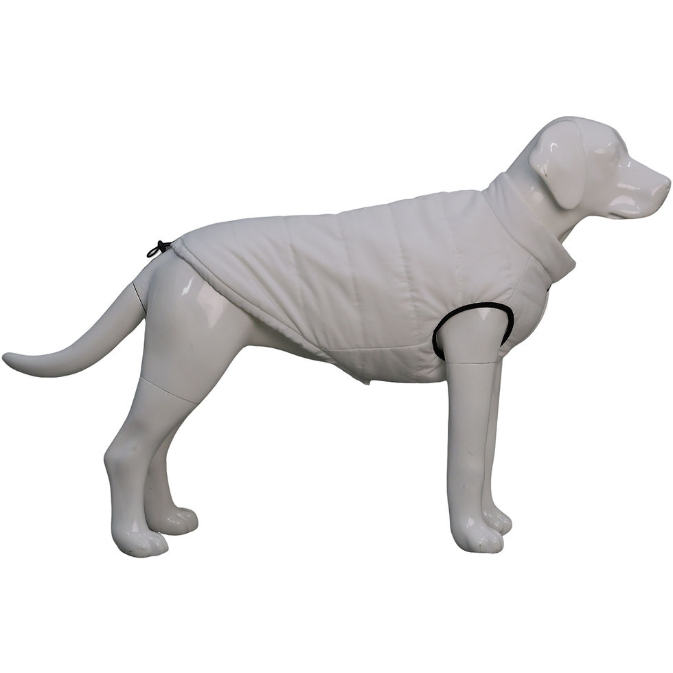 Thumbnail: Waterproof Dog Vest