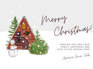 🎄 Merry Christmas 🎄