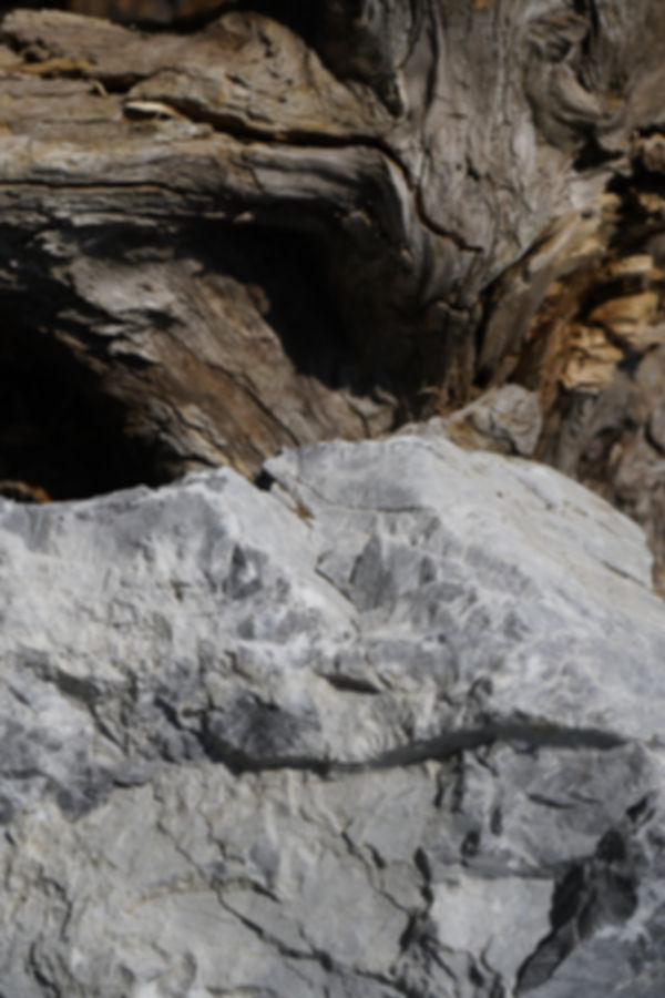 "Rock"  Photography Print A3