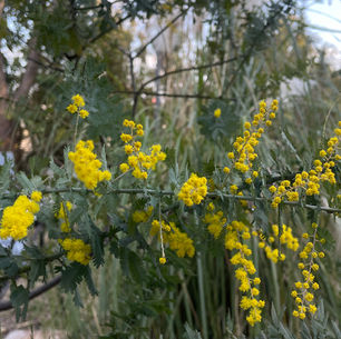 Spring is in the air