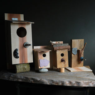 letter from nature -巣箱アップデート編